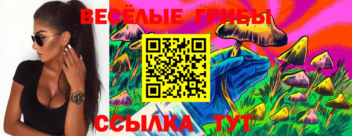 Галлюциногенные грибы Psilocybe  наркошоп  Вход с VPN  Новотроицк  Галлюциногенные грибы Psilocybe 