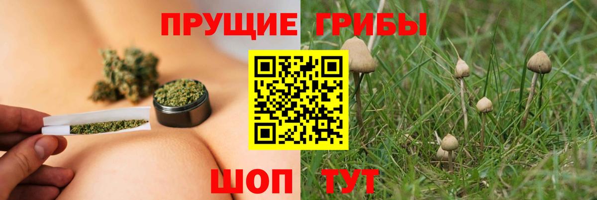 Псилоцибиновые грибы MAGIC MUSHROOMS Новотроицк